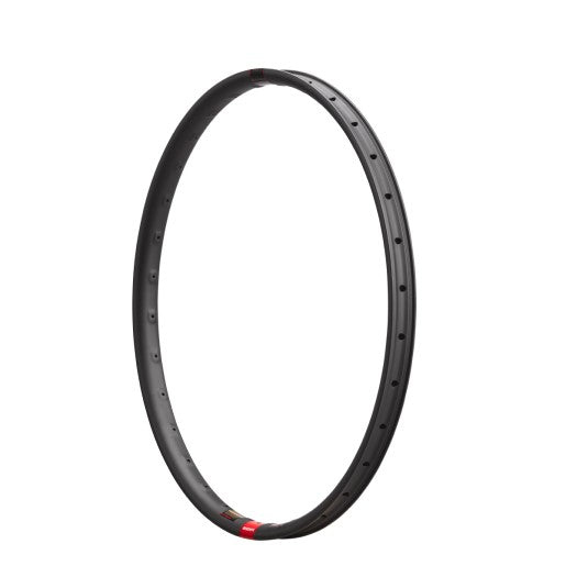 Reserve 31|DH Carbon Rim