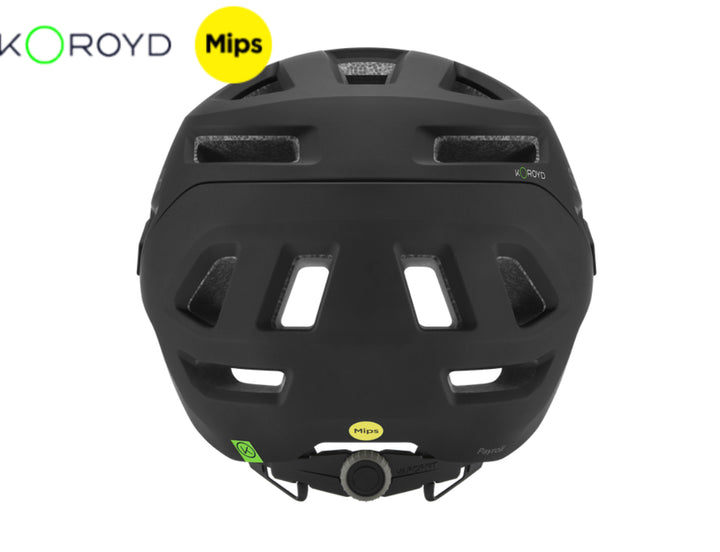 Smith Payroll MIPS Helmet