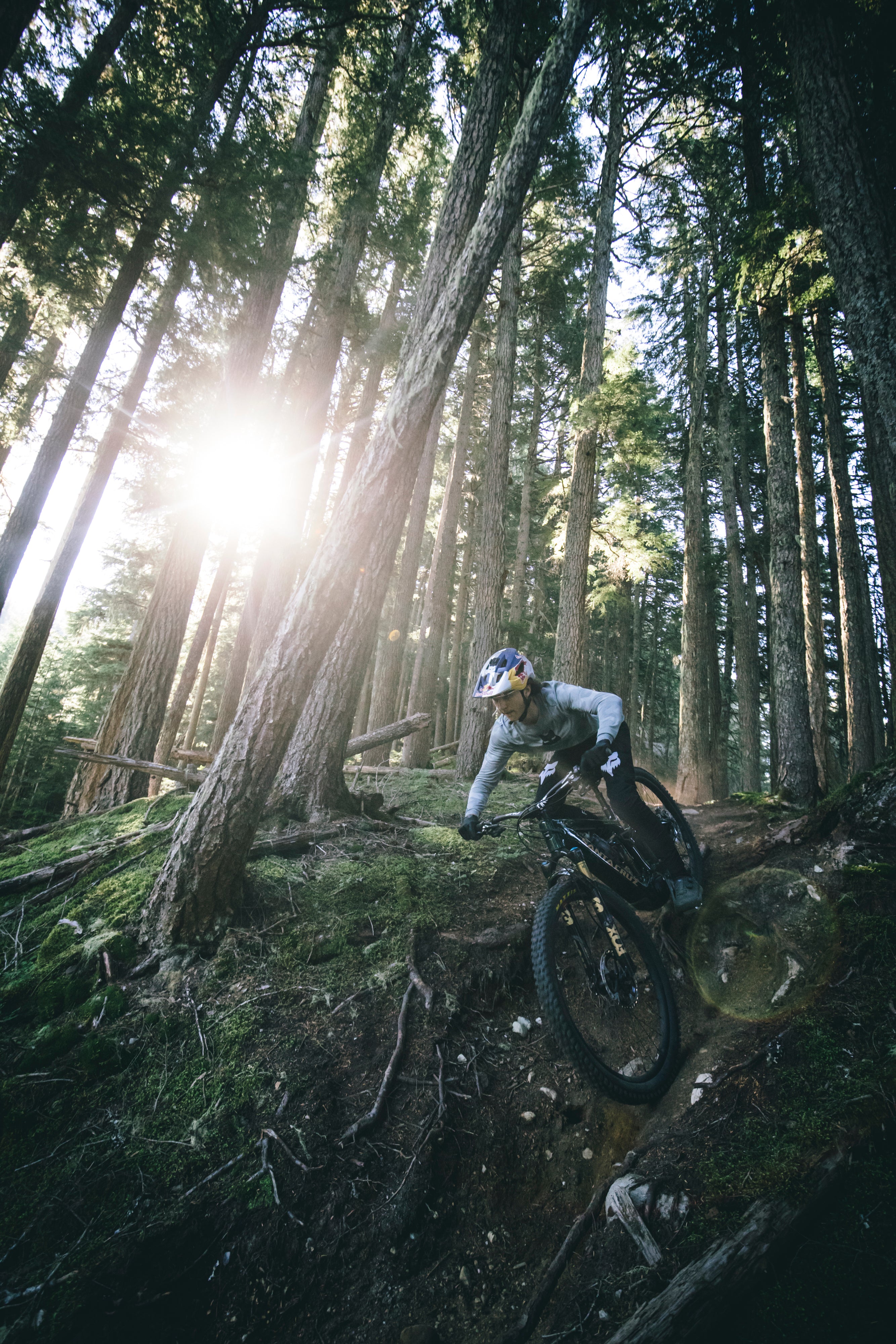 Mountain Bike Supply